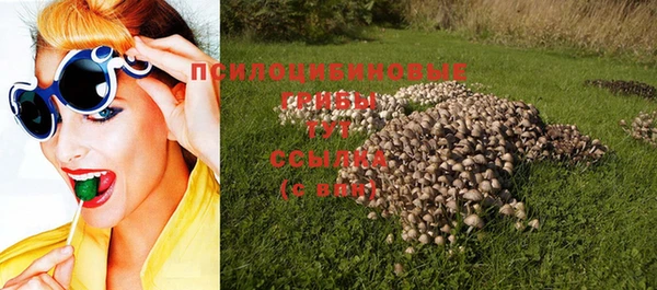 индика Алзамай