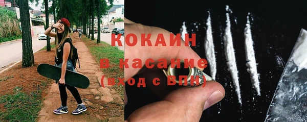 индика Алзамай