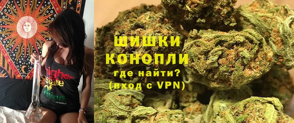 индика Алзамай